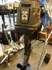 JOHNSON 25 CV JOHNSON