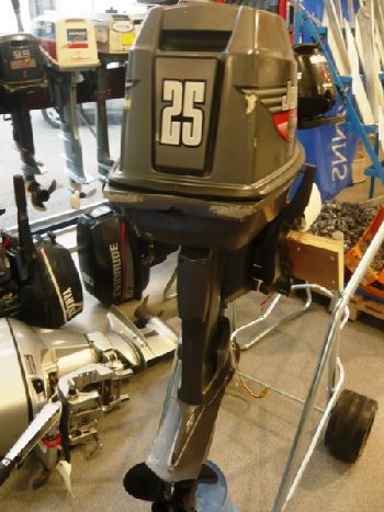 JOHNSON 25 CV JOHNSON