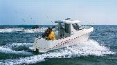 ARVOR ARVOR 190