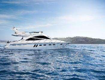 SEALINE SEALINE T50