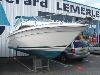SEA RAY SUNDANCER 220