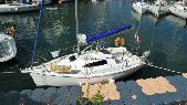 SASANKA YACHT VIVA 600
